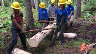 SCA Builds a Bog Bridge [upl. by Berthold]