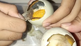 The famous food in the Philippines Balut Super yummy [upl. by Nicoli]