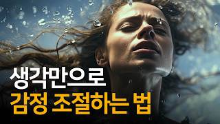 생각으로 감정을 조절하는 법  당신의 감정에는 당신만의 사연이 있다 [upl. by Enaffit]