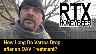 How Long Will Mites Drop after an OAV Treatment [upl. by Ananna]