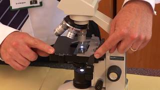 GCSE Biology 91 Triple Required Practical 1  Microscopes [upl. by Yorgerg]