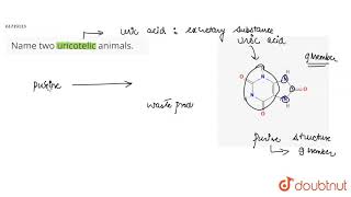 Name two uricotelic animals [upl. by Bowler691]