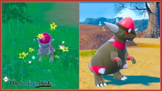 Live Shiny Cranidos  Shiny Rampardos Evolution The Indigo Disk Pokemon Scarlet [upl. by Axe]