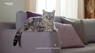 FELIWAY Optimum ayuda a reducir los signos de estrés de tu gato como los arañazos en muebles [upl. by Wolfgang]