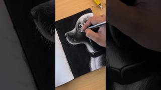 Dog Puppy drawing using charcoal  Tutorial ✨ shorts [upl. by Essirehc]