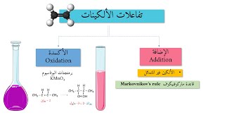 Alkenes Reactions 11 الألكينات وتفاعلاتها [upl. by Devitt]