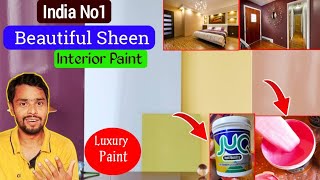 Top Quality Interior High Sheen Luxury Paint  Jk Protomax JUQ Hi SHEEN luxury PAINT [upl. by Enyedy]