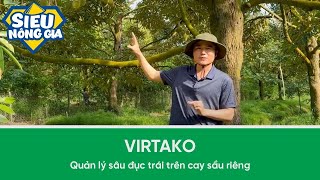 Giải pháp quản lý sâu đục trái giai đoạn sau khi đậu trái trên cây sầu riêng với Virtako [upl. by Vijnas618]