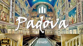 PADUA Padova – Italy 🇮🇹 4K video [upl. by Oahc]