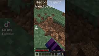 That Expert Friend Be Like minecraft minecraftmemes [upl. by Priscella]