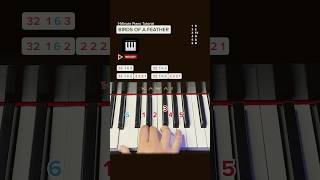 BIRDS OF A FEATHER  Piano Tutorial  Melody 1st Verse amp Chorus pianotutorial learnpiano piano [upl. by Catarina]