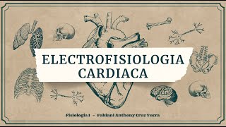 Electrofisiologia Cardiaca I  Los Medisaurios [upl. by Morita844]