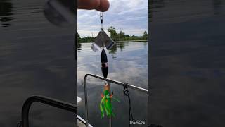 Der Fliegende Holländer fishing angeln bassfishing angler fishinglife [upl. by Yetnruoc926]