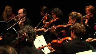 FChopin  Concerto pour piano n°1 en mi mineur opus 11 [upl. by Azarria]