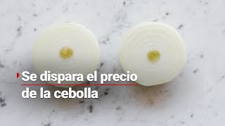 ¡Para llorar 🧅 Se dispara el precio de la CEBOLLA subió de 15 a 60 pesos por kilo [upl. by Daile]