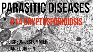 Parasitic Diseases Lectures 14 Cryptosporidiosis [upl. by Jolie828]