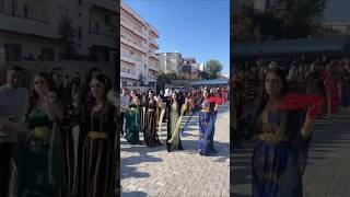 Kurdish Dance Kurdish Culture Kurdish Folklore shortvideo shorts youtubeshorts trending viral [upl. by Matthei726]