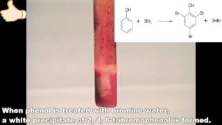 Reaction of Bromine with Phenol [upl. by Naitsirt796]