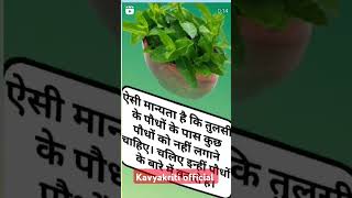 Na kare Aisa kam kavyakritiofficial1 viralvideo comedy song funnycomedy [upl. by Brote373]