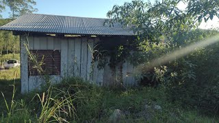 UMA SIMPLES CASINHA ABANDONADA NO ALTO DO MORRO [upl. by Hameerak]