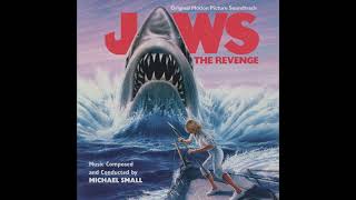 The End of The Jaws Saga  Jaws The Revenge Best Scenes 🌀 4K [upl. by Vijnas12]