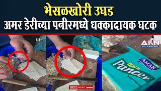 भेसळखोरी उघड  अमर डेरीच्या पनीरमध्ये धक्कादायक घटक  Adulterated in paneer [upl. by Tomi]