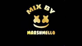 SPIES MARSHMELLO REMIX  Fortnite Remix music [upl. by Aggi]