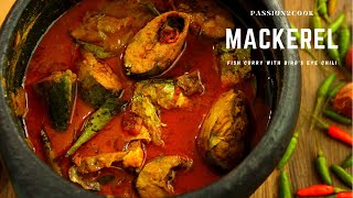 Mackerel  mackerel Fish curry  Kanthari meen curry [upl. by Maurits984]