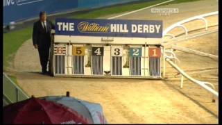 Greyhound Derby Final 2010 [upl. by Nilpik]