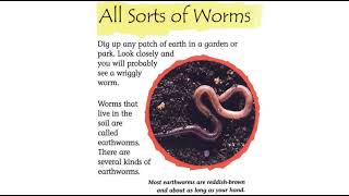 Earthworms by Claire Llewellyn Ready Reading read aloud [upl. by Matheny]