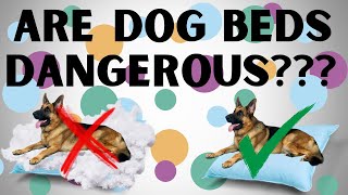 Are Dog Beds Dangerous [upl. by Druce939]