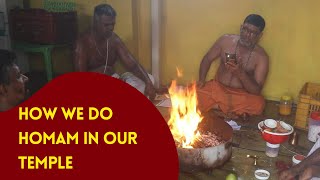 How homam is done in Our temple Get your customised homam in 60 min we are swiggy of rituals [upl. by Melisse389]