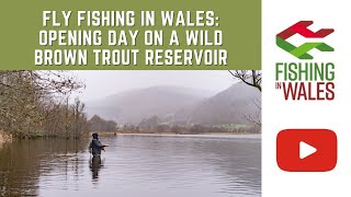 Fly fishing in Wales  Opening day on a wild brown trout reservoir [upl. by Nyraa]