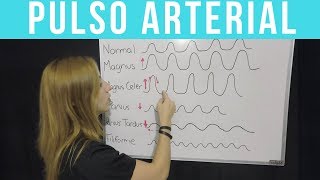 PULSO ARTERIAL ¡Todo lo que tienes que saber  Mentes Médicas [upl. by Heffron]