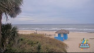 St George Island Live Cam  Florida beach live webcam  Gulf Coast Live Cam [upl. by Furey]