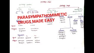 Cholinergic drugs  Parasympathomimetics drugs  Classification 1 [upl. by Desirae]