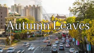 클라리넷 연주 Autumn Leaves Clarinet Cover [upl. by Elleinwad]