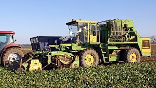 Super rare Standen Challenger SP6 selfpropelled sugar beet harvester  Rolls Royce engine  Classic [upl. by Inalaeham330]