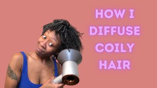 DIFFUSING AND DRYING 4B 4C HAIR VLOGMAS DAY 11 [upl. by Goldin]