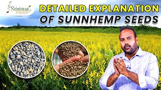 details about sunn hemp seeds  janumulu  kattelu  sannappu  green manure seeds [upl. by Aneladgam870]