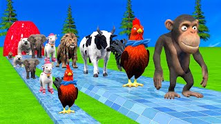 Paint amp Animals CowMonkeyBearChikenLionElephant Fountain Crossing Transformation Animal Cartoon [upl. by Cheria]