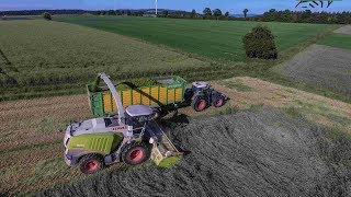 Claas Jaguar 970Claas DirectDisc 600Fendt Flotte 926TMS  936  936S4GPS [upl. by Lledo457]