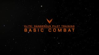 Pilot Training  Basic Combat [upl. by Levram]