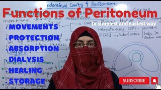 Functions of Peritoneum I Abdominal cavity and Peritoneum ayeshamedicaleducation [upl. by Acinok190]