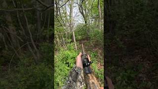 Stalking hung up LONGBEARDS in the brush turkeyhunting cantstoptheflop turkeyhunt [upl. by Jeannine]