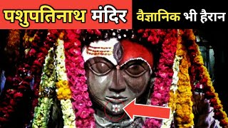 श्रीनाथजी मंदिर नाथद्वारा  इतिहास  वास्तुकला  सम्पूर्ण जानकारियां  Shree Nath Ji  Hindi [upl. by Annekcm]