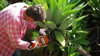 The Garden Gurus  Agaves [upl. by Viking58]