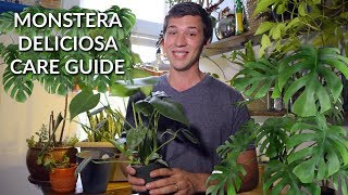 Monstera Deliciosa Care Guide 🌿 EVERYTHING YOU NEED TO KNOW [upl. by Scharf]