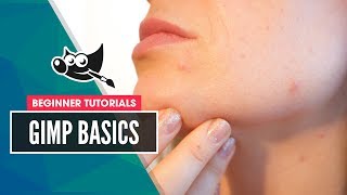 GIMP Basics Remove Skin Blemishes with The Healing Tool [upl. by Noiramed]