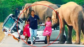 The heartstopping wild elephant attack on a group of children and threewheeler [upl. by Davin765]